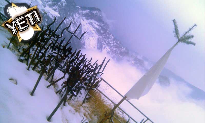 5-the-summit-of-kalinchowk