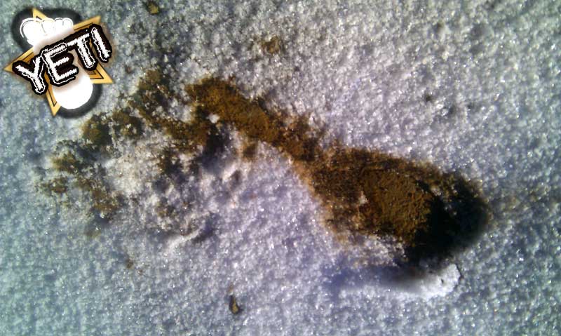 8-footprints-in-the-snow