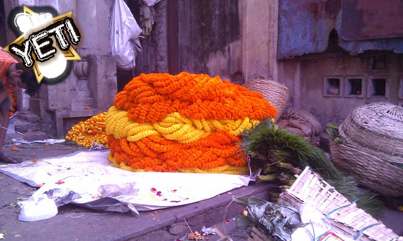 IMAG0569