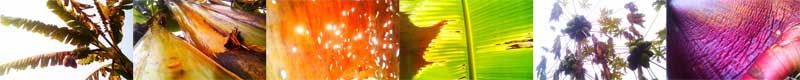 Untitled_Panorama2