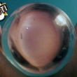 15-crystal-ball