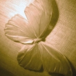 imag0033