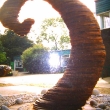 imag0910