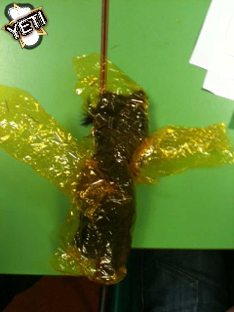 photo-4-6