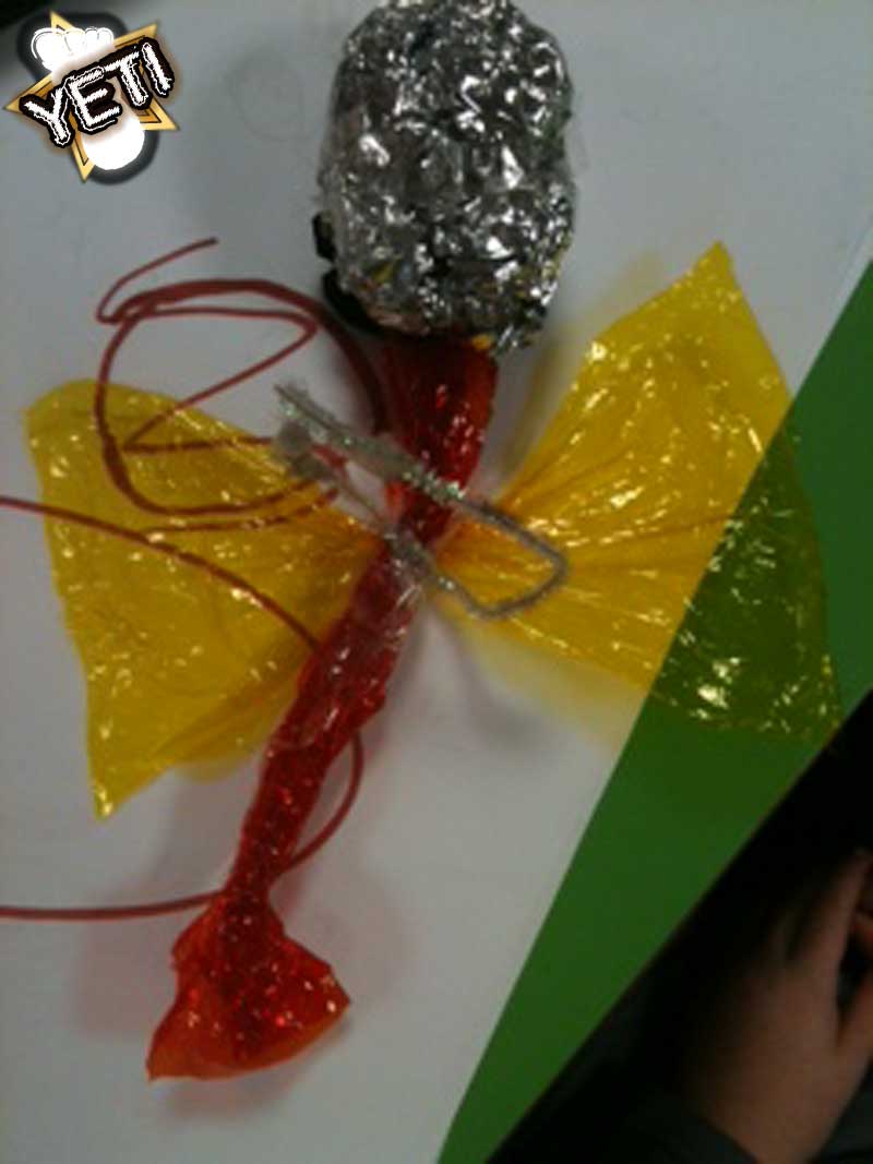 photo-5-6