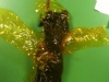 photo-4-6