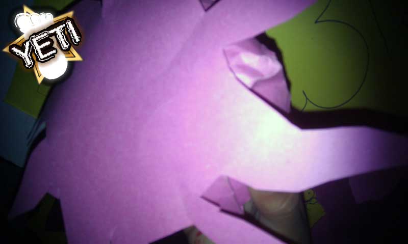 imag0993