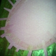 imag0970