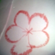 imag0972